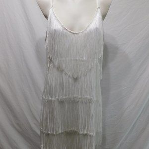 Never Worn Flapper Dress